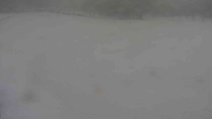 Ski klub RD Rýmařov - Areál ski klubu - 11.2.2026 v 08:30 Ski klub RD Rýmařov - Areál ski klubu - 11.2.2026 v 08:30