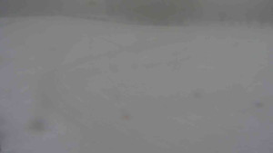 Ski klub RD Rýmařov - Areál ski klubu - 11.2.2026 v 09:30 Ski klub RD Rýmařov - Areál ski klubu - 11.2.2026 v 09:30