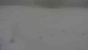 Ski klub RD Rýmařov - Areál ski klubu - 11.2.2026 v 11:30 Ski klub RD Rýmařov - Areál ski klubu - 11.2.2026 v 11:30