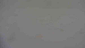 Ski klub RD Rýmařov - Areál ski klubu - 11.2.2026 v 13:30 Ski klub RD Rýmařov - Areál ski klubu - 11.2.2026 v 13:30