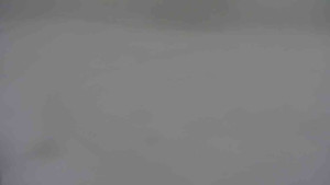 Ski klub RD Rýmařov - Areál ski klubu - 11.2.2026 v 14:30 Ski klub RD Rýmařov - Areál ski klubu - 11.2.2026 v 14:30