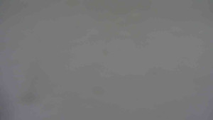 Ski klub RD Rýmařov - Areál ski klubu - 11.2.2026 v 16:00 Ski klub RD Rýmařov - Areál ski klubu - 11.2.2026 v 16:00