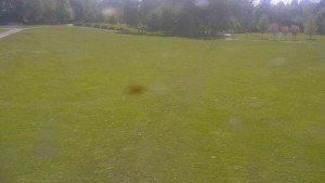Ski klub RD Rýmařov - Areál ski klubu - 21.5.2026 v 14:00 Ski klub RD Rýmařov - Areál ski klubu - 21.5.2026 v 14:00