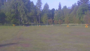 Ski klub RD Rýmařov - Areál ski klubu - 21.5.2025 v 07:00 Ski klub RD Rýmařov - Areál ski klubu - 21.5.2025 v 07:00