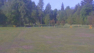 Ski klub RD Rýmařov - Areál ski klubu - 21.5.2025 v 08:00 Ski klub RD Rýmařov - Areál ski klubu - 21.5.2025 v 08:00