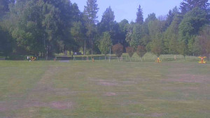 Ski klub RD Rýmařov - Areál ski klubu - 21.5.2025 v 09:00 Ski klub RD Rýmařov - Areál ski klubu - 21.5.2025 v 09:00