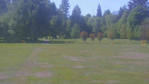 Ski klub RD Rýmařov - Areál ski klubu - 21.5.2025 v 11:00 Ski klub RD Rýmařov - Areál ski klubu - 21.5.2025 v 11:00