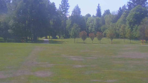 Ski klub RD Rýmařov - Areál ski klubu - 21.5.2025 v 12:00 Ski klub RD Rýmařov - Areál ski klubu - 21.5.2025 v 12:00