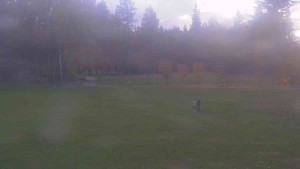 Ski klub RD Rýmařov - Areál ski klubu - 26.10.2025 v 15:30 Ski klub RD Rýmařov - Areál ski klubu - 26.10.2025 v 15:30