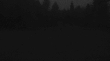 Snímek    29.10.2025 v 06:00