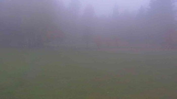 Snímek    29.10.2025 v 08:00