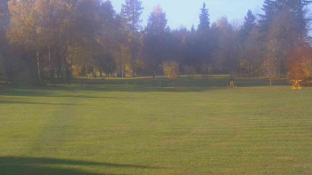 Snímek    31.10.2025 v 09:00