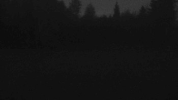 Snímek 5.11.2025 v 06:00