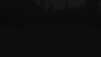 Snímek 7.11.2025 v 06:00