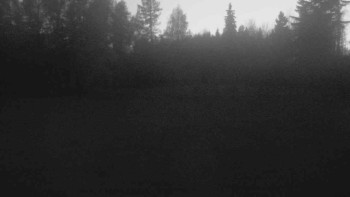 Snímek 7.11.2025 v 17:00