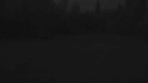 Ski klub RD Rýmařov - Areál ski klubu - 26.12.2025 v 07:00 Ski klub RD Rýmařov - Areál ski klubu - 26.12.2025 v 07:00