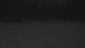 Ski klub RD Rýmařov - Areál ski klubu - 2.1.2026 v 06:30 Ski klub RD Rýmařov - Areál ski klubu - 2.1.2026 v 06:30