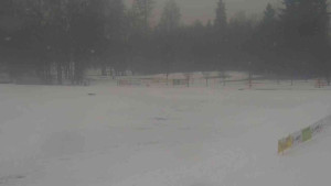 Ski klub RD Rýmařov - Areál ski klubu - 14.2.2026 v 14:30 Ski klub RD Rýmařov - Areál ski klubu - 14.2.2026 v 14:30