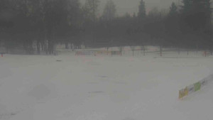 Ski klub RD Rýmařov - Areál ski klubu - 14.2.2026 v 15:30 Ski klub RD Rýmařov - Areál ski klubu - 14.2.2026 v 15:30