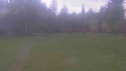 Areál ski klubu