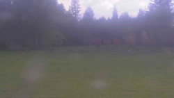 Areál ski klubu