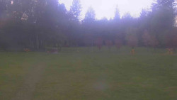 Areál ski klubu