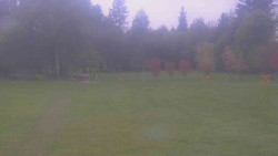 Areál ski klubu