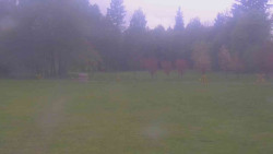 Areál ski klubu