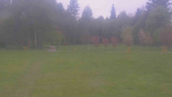 Areál ski klubu