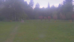 Areál ski klubu