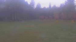 Areál ski klubu