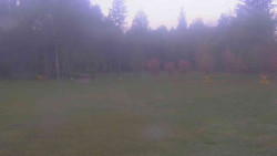 Areál ski klubu