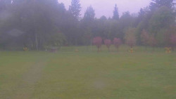 Areál ski klubu
