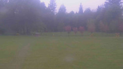 Areál ski klubu