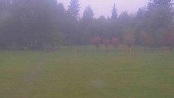 Areál ski klubu