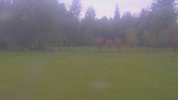 Areál ski klubu