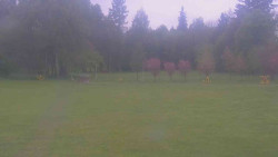 Areál ski klubu