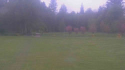 Areál ski klubu