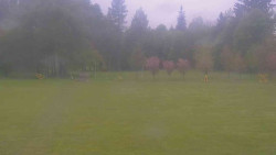 Areál ski klubu