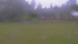 Areál ski klubu