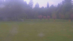 Areál ski klubu