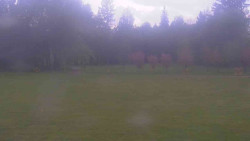 Areál ski klubu