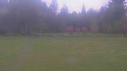 Areál ski klubu
