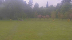 Areál ski klubu