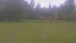 Areál ski klubu