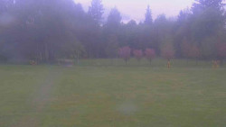 Areál ski klubu