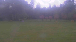Areál ski klubu