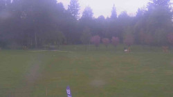 Areál ski klubu