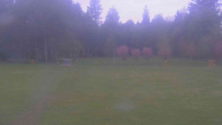 Areál ski klubu