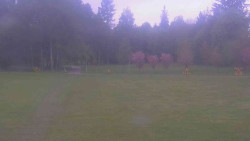 Areál ski klubu